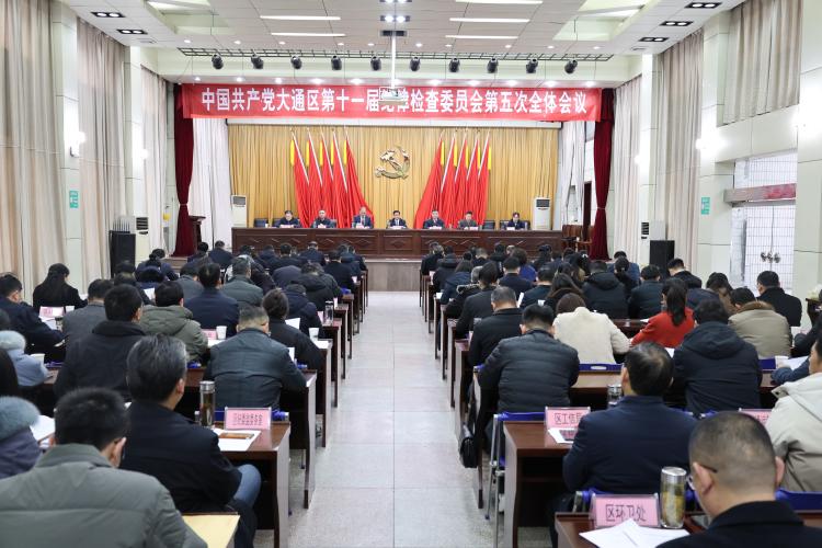 中共大通区第十一届纪律检查委员会第五次全体会议召开