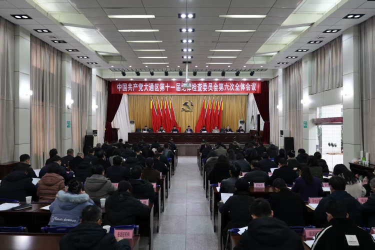 中共大通区第十一届纪律检查委员会第六次全体会议召开