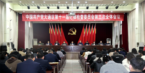 中共大通区第十一届纪律检查委员会第三次全体会议召开