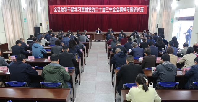 大通区领导干部学习贯彻党的二十届三中全会精神专题研讨班开班