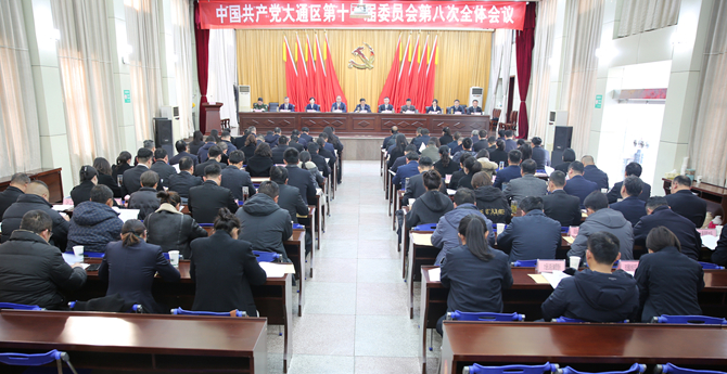 中国共产党大通区第十一届委员会第八次全体会议召开