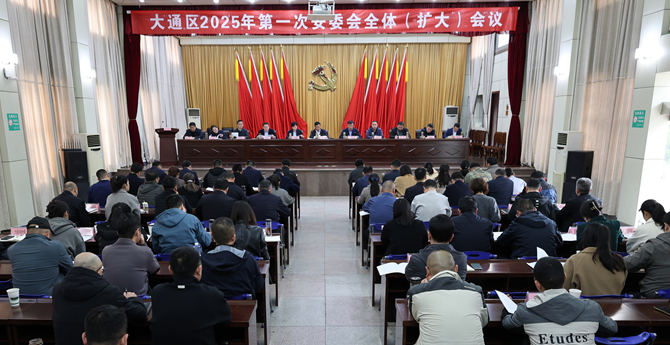 大通区召开2025年第一次安委会全体（扩大）会议