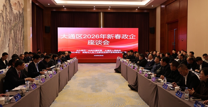大通区召开2026年新春政企座谈会