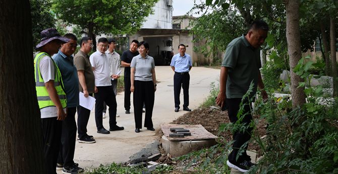 区委副书记、区长李雪梅督导调研和美乡村建设工作