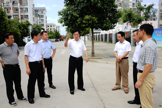 市委常委张祖保赴九龙岗镇督察文明创建工作